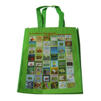 甘孜LB11覆膜无纺布广告袋