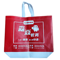 甘孜LB37培训班广告袋